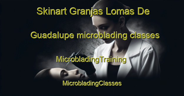 Skinart Granjas Lomas De Guadalupe microblading classes | #MicrobladingTraining #MicrobladingClasses #SkinartTraining-Mexico