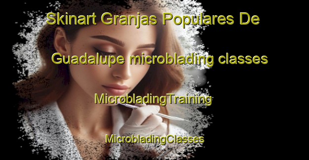 Skinart Granjas Populares De Guadalupe microblading classes | #MicrobladingTraining #MicrobladingClasses #SkinartTraining-Mexico