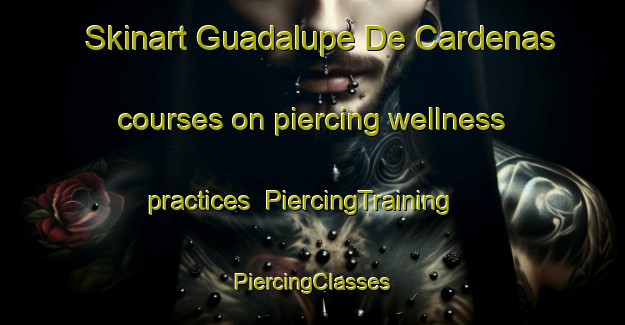 Skinart Guadalupe De Cardenas courses on piercing wellness practices | #PiercingTraining #PiercingClasses #SkinartTraining-Mexico