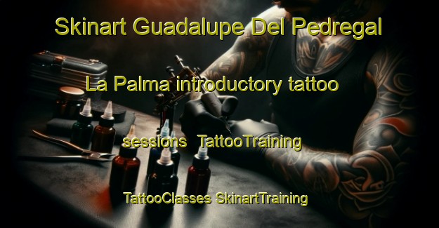 Skinart Guadalupe Del Pedregal La Palma introductory tattoo sessions | #TattooTraining #TattooClasses #SkinartTraining-Mexico