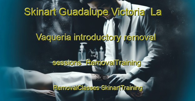 Skinart Guadalupe Victoria  La Vaqueria introductory removal sessions | #RemovalTraining #RemovalClasses #SkinartTraining-Mexico