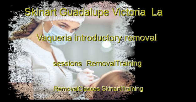 Skinart Guadalupe Victoria  La Vaqueria introductory removal sessions | #RemovalTraining #RemovalClasses #SkinartTraining-Mexico