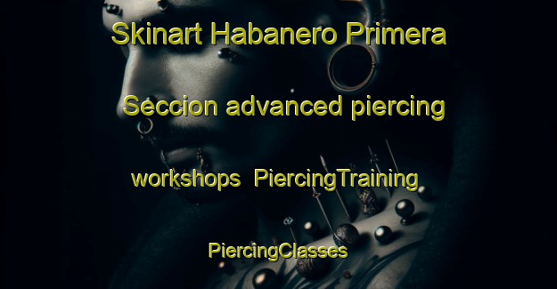 Skinart Habanero Primera Seccion advanced piercing workshops | #PiercingTraining #PiercingClasses #SkinartTraining-Mexico