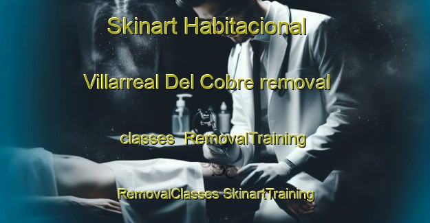 Skinart Habitacional Villarreal Del Cobre removal classes | #RemovalTraining #RemovalClasses #SkinartTraining-Mexico