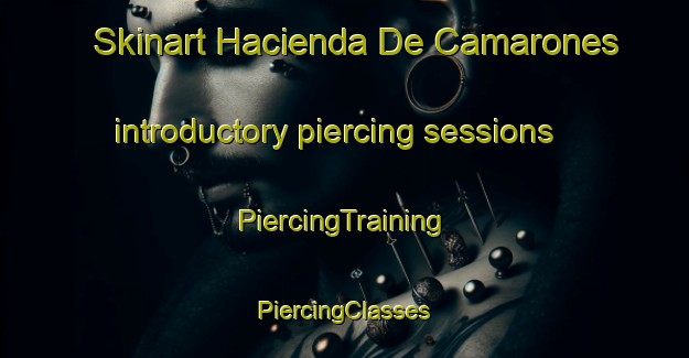 Skinart Hacienda De Camarones introductory piercing sessions | #PiercingTraining #PiercingClasses #SkinartTraining-Mexico