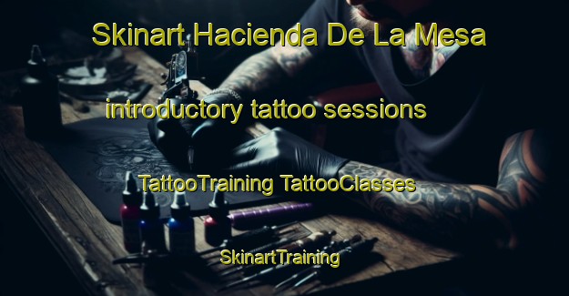 Skinart Hacienda De La Mesa introductory tattoo sessions | #TattooTraining #TattooClasses #SkinartTraining-Mexico