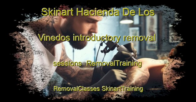 Skinart Hacienda De Los Vinedos introductory removal sessions | #RemovalTraining #RemovalClasses #SkinartTraining-Mexico