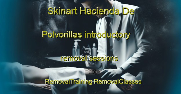 Skinart Hacienda De Polvorillas introductory removal sessions | #RemovalTraining #RemovalClasses #SkinartTraining-Mexico