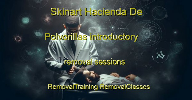 Skinart Hacienda De Polvorillas introductory removal sessions | #RemovalTraining #RemovalClasses #SkinartTraining-Mexico