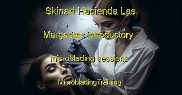 Skinart Hacienda Las Margaritas introductory microblading sessions | #MicrobladingTraining #MicrobladingClasses #SkinartTraining-Mexico