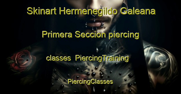 Skinart Hermenegildo Galeana Primera Seccion piercing classes | #PiercingTraining #PiercingClasses #SkinartTraining-Mexico