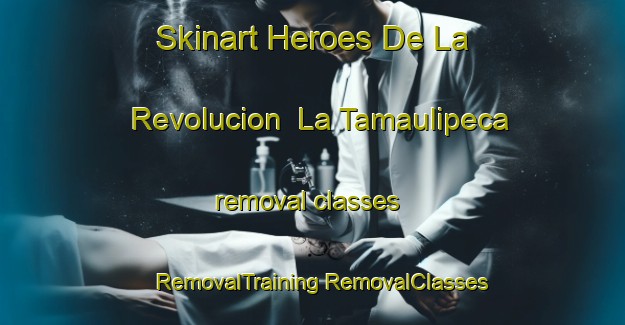 Skinart Heroes De La Revolucion  La Tamaulipeca removal classes | #RemovalTraining #RemovalClasses #SkinartTraining-Mexico