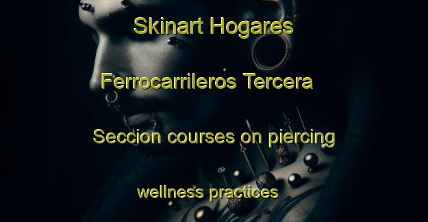 Skinart Hogares Ferrocarrileros Tercera Seccion courses on piercing wellness practices | #PiercingTraining #PiercingClasses #SkinartTraining-Mexico