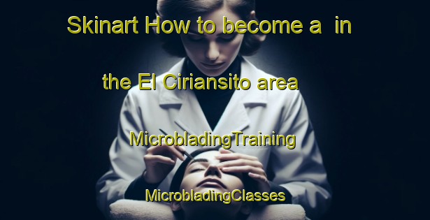 Skinart How to become a  in the El Ciriansito area | #MicrobladingTraining #MicrobladingClasses #SkinartTraining-Mexico