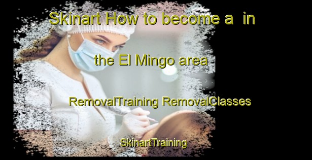 Skinart How to become a  in the El Mingo area | #RemovalTraining #RemovalClasses #SkinartTraining-Mexico