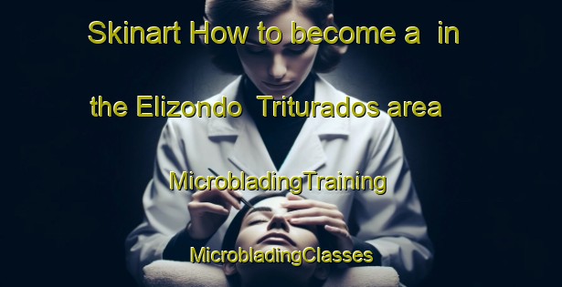 Skinart How to become a  in the Elizondo  Triturados area | #MicrobladingTraining #MicrobladingClasses #SkinartTraining-Mexico