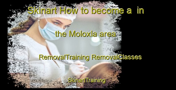 Skinart How to become a  in the Moloxla area | #RemovalTraining #RemovalClasses #SkinartTraining-Mexico