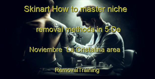 Skinart How to master niche removal methods in 5 De Noviembre  La Cristalina area | RemovalTraining | RemovalClasses | SkinartTraining-Mexico