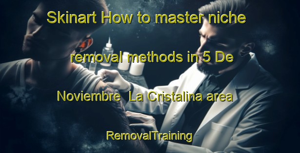 Skinart How to master niche removal methods in 5 De Noviembre  La Cristalina area | RemovalTraining | RemovalClasses | SkinartTraining-Mexico