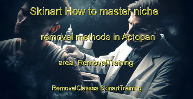 Skinart How to master niche removal methods in Actopan area | #RemovalTraining #RemovalClasses #SkinartTraining-Mexico