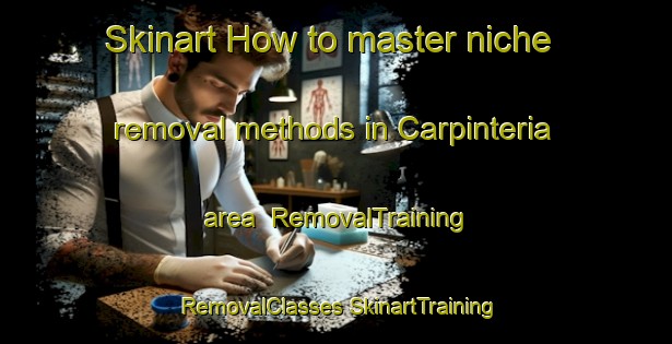 Skinart How to master niche removal methods in Carpinteria area | #RemovalTraining #RemovalClasses #SkinartTraining-Mexico