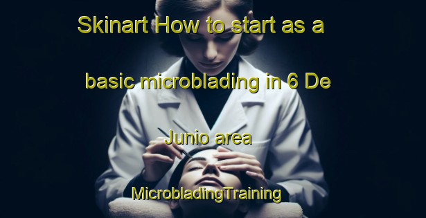 Skinart How to start as a basic microblading in 6 De Junio area | MicrobladingTraining | MicrobladingClasses | SkinartTraining-Mexico