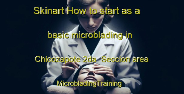 Skinart How to start as a basic microblading in Chicozapote 2da  Seccion area | MicrobladingTraining | MicrobladingClasses | SkinartTraining-Mexico