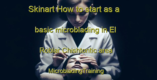Skinart How to start as a basic microblading in El Roblar Chishtontic area | MicrobladingTraining | MicrobladingClasses | SkinartTraining-Mexico