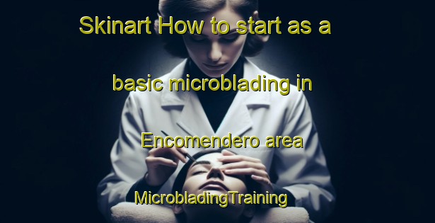 Skinart How to start as a basic microblading in Encomendero area | MicrobladingTraining | MicrobladingClasses | SkinartTraining-Mexico
