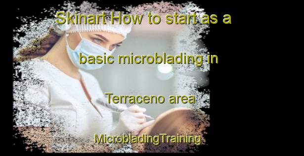 Skinart How to start as a basic microblading in Terraceno area | MicrobladingTraining | MicrobladingClasses | SkinartTraining-Mexico