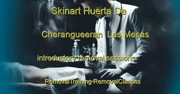 Skinart Huerta De Cherangueeran  Las Mesas introductory removal sessions | #RemovalTraining #RemovalClasses #SkinartTraining-Mexico