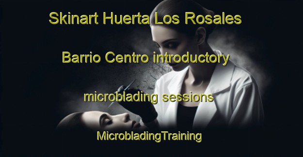 Skinart Huerta Los Rosales  Barrio Centro introductory microblading sessions | #MicrobladingTraining #MicrobladingClasses #SkinartTraining-Mexico