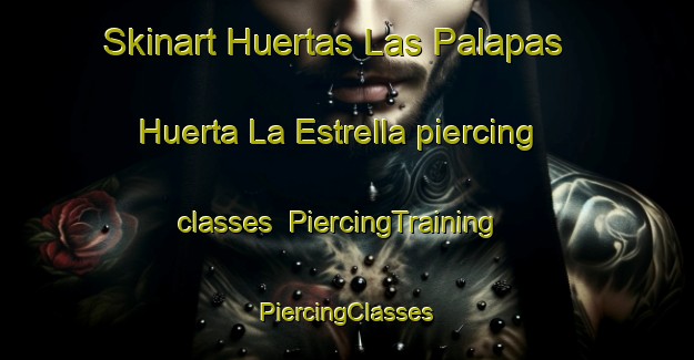 Skinart Huertas Las Palapas  Huerta La Estrella piercing classes | #PiercingTraining #PiercingClasses #SkinartTraining-Mexico