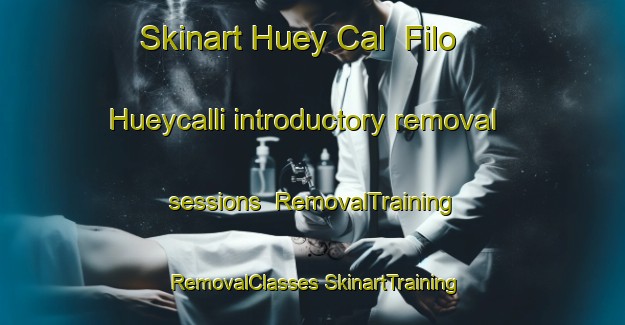 Skinart Huey Cal  Filo Hueycalli introductory removal sessions | #RemovalTraining #RemovalClasses #SkinartTraining-Mexico