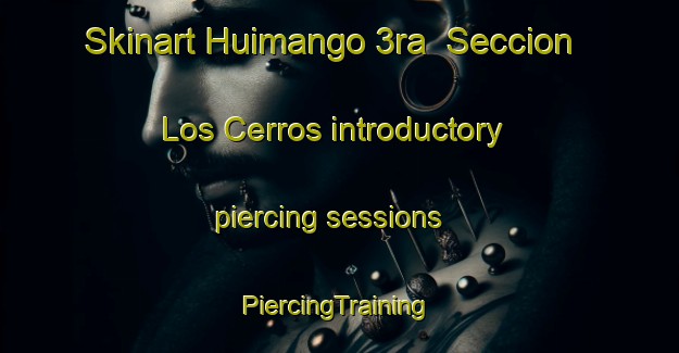 Skinart Huimango 3ra  Seccion  Los Cerros introductory piercing sessions | #PiercingTraining #PiercingClasses #SkinartTraining-Mexico