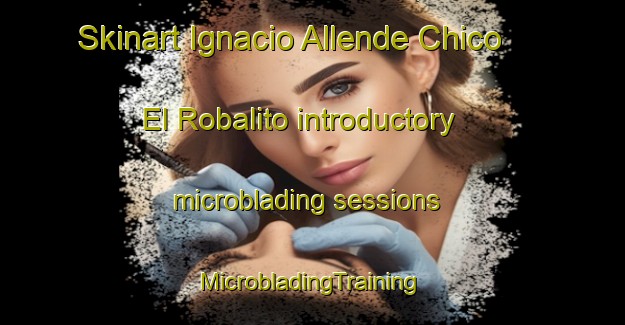 Skinart Ignacio Allende Chico  El Robalito introductory microblading sessions | #MicrobladingTraining #MicrobladingClasses #SkinartTraining-Mexico