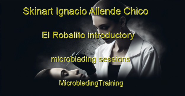 Skinart Ignacio Allende Chico  El Robalito introductory microblading sessions | #MicrobladingTraining #MicrobladingClasses #SkinartTraining-Mexico