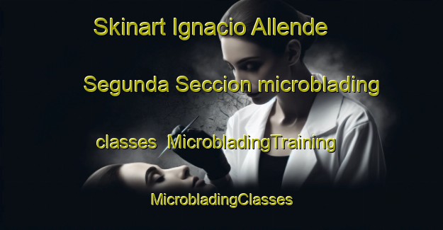 Skinart Ignacio Allende Segunda Seccion microblading classes | #MicrobladingTraining #MicrobladingClasses #SkinartTraining-Mexico