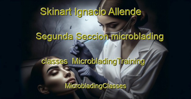 Skinart Ignacio Allende Segunda Seccion microblading classes | #MicrobladingTraining #MicrobladingClasses #SkinartTraining-Mexico