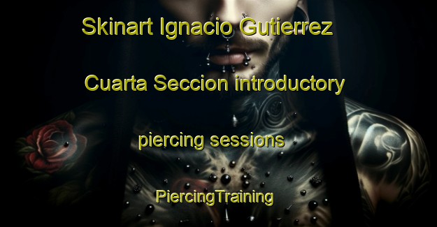 Skinart Ignacio Gutierrez Cuarta Seccion introductory piercing sessions | #PiercingTraining #PiercingClasses #SkinartTraining-Mexico