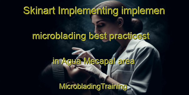 Skinart Implementing implemen microblading best practicest in Agua Mecapal area | #MicrobladingTraining #MicrobladingClasses #SkinartTraining-Mexico