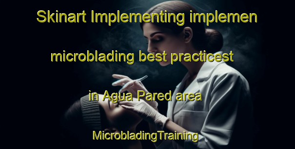 Skinart Implementing implemen microblading best practicest in Agua Pared area | #MicrobladingTraining #MicrobladingClasses #SkinartTraining-Mexico