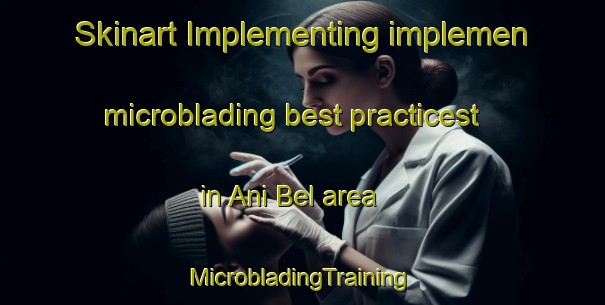 Skinart Implementing implemen microblading best practicest in Ani Bel area | #MicrobladingTraining #MicrobladingClasses #SkinartTraining-Mexico