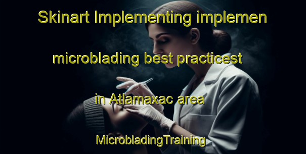 Skinart Implementing implemen microblading best practicest in Atlamaxac area | #MicrobladingTraining #MicrobladingClasses #SkinartTraining-Mexico