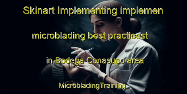 Skinart Implementing implemen microblading best practicest in Bodega Conasupo area | #MicrobladingTraining #MicrobladingClasses #SkinartTraining-Mexico