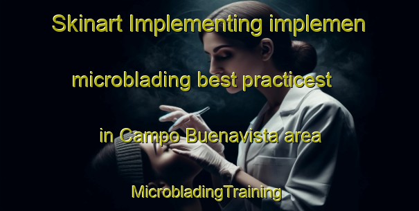 Skinart Implementing implemen microblading best practicest in Campo Buenavista area | #MicrobladingTraining #MicrobladingClasses #SkinartTraining-Mexico