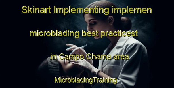 Skinart Implementing implemen microblading best practicest in Campo Chama area | #MicrobladingTraining #MicrobladingClasses #SkinartTraining-Mexico