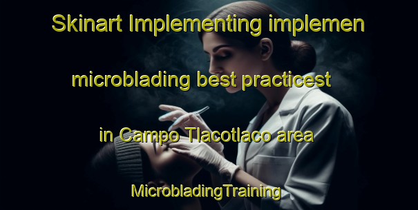 Skinart Implementing implemen microblading best practicest in Campo Tlacotlaco area | #MicrobladingTraining #MicrobladingClasses #SkinartTraining-Mexico