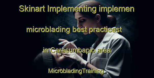 Skinart Implementing implemen microblading best practicest in Carasumbapio area | #MicrobladingTraining #MicrobladingClasses #SkinartTraining-Mexico