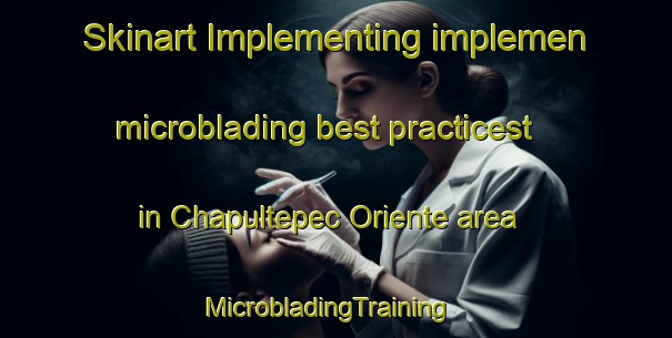 Skinart Implementing implemen microblading best practicest in Chapultepec Oriente area | MicrobladingTraining | MicrobladingClasses | SkinartTraining-Mexico